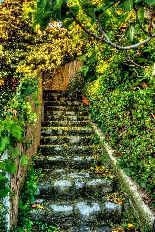 La Casa Del Pescatore B&B Porto Venere